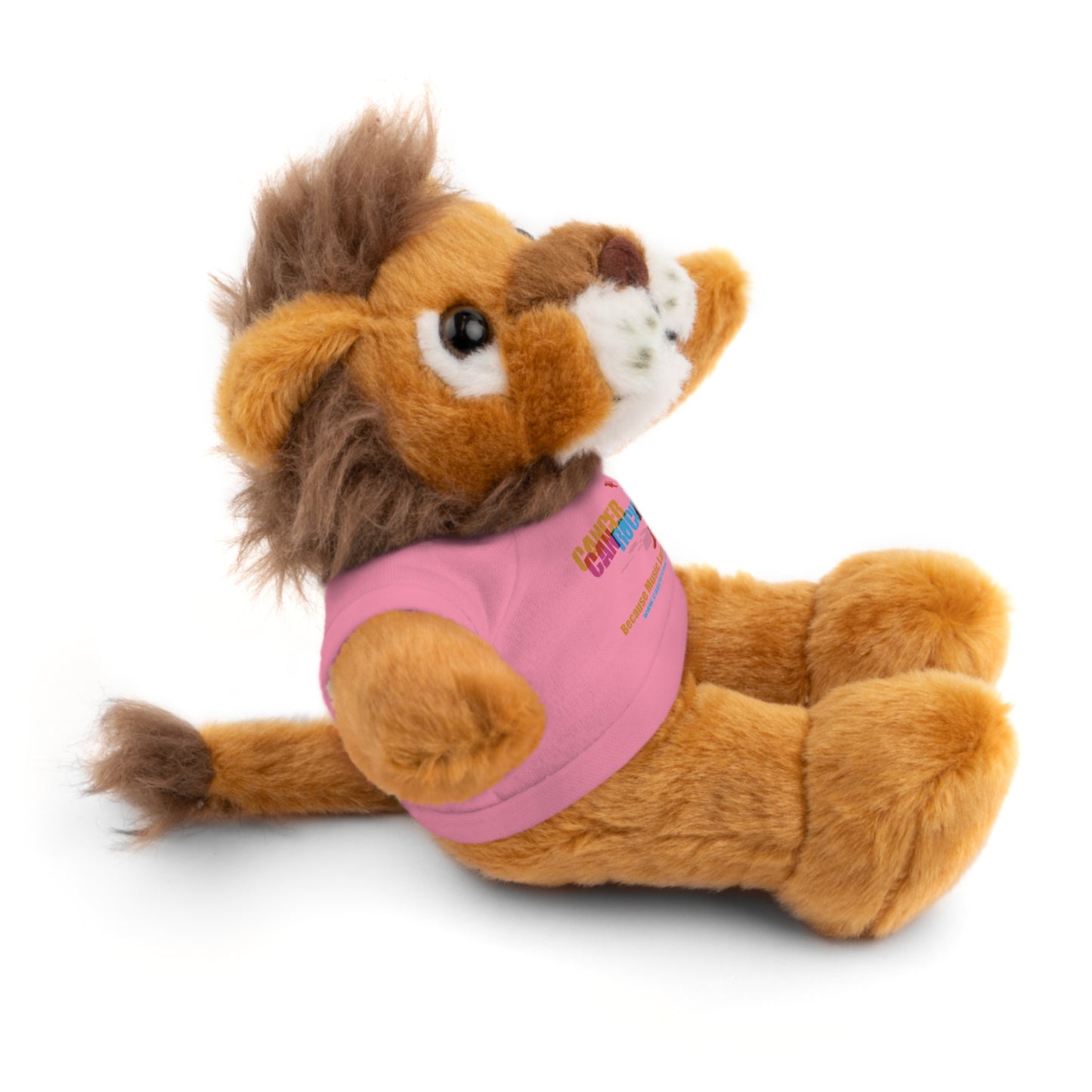 Stuffed Animal with T-Shirt