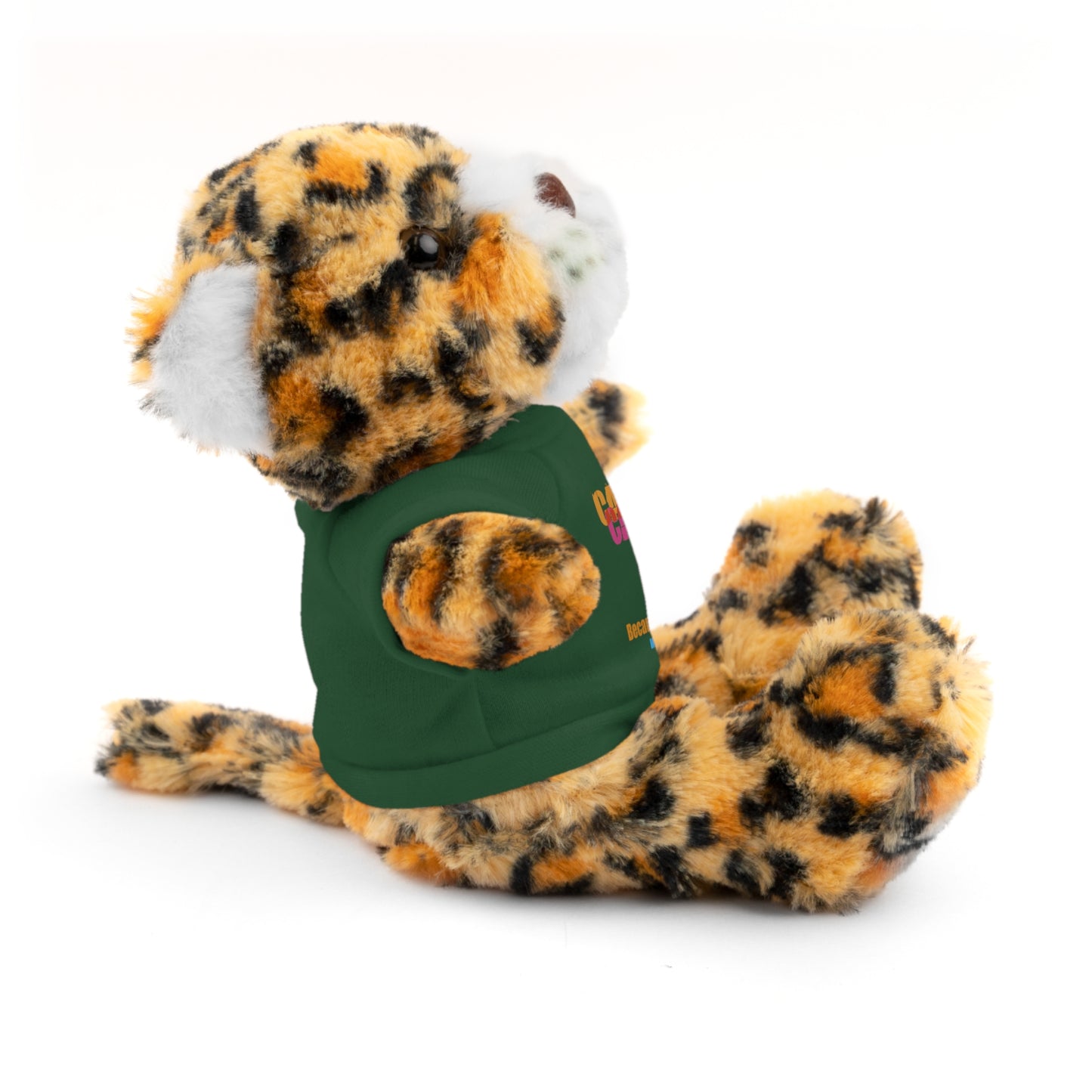 Stuffed Animal with T-Shirt