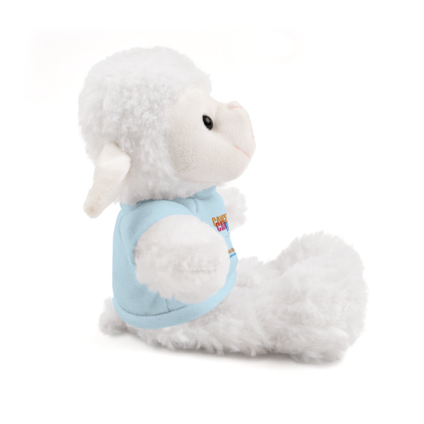 Stuffed Animal with T-Shirt