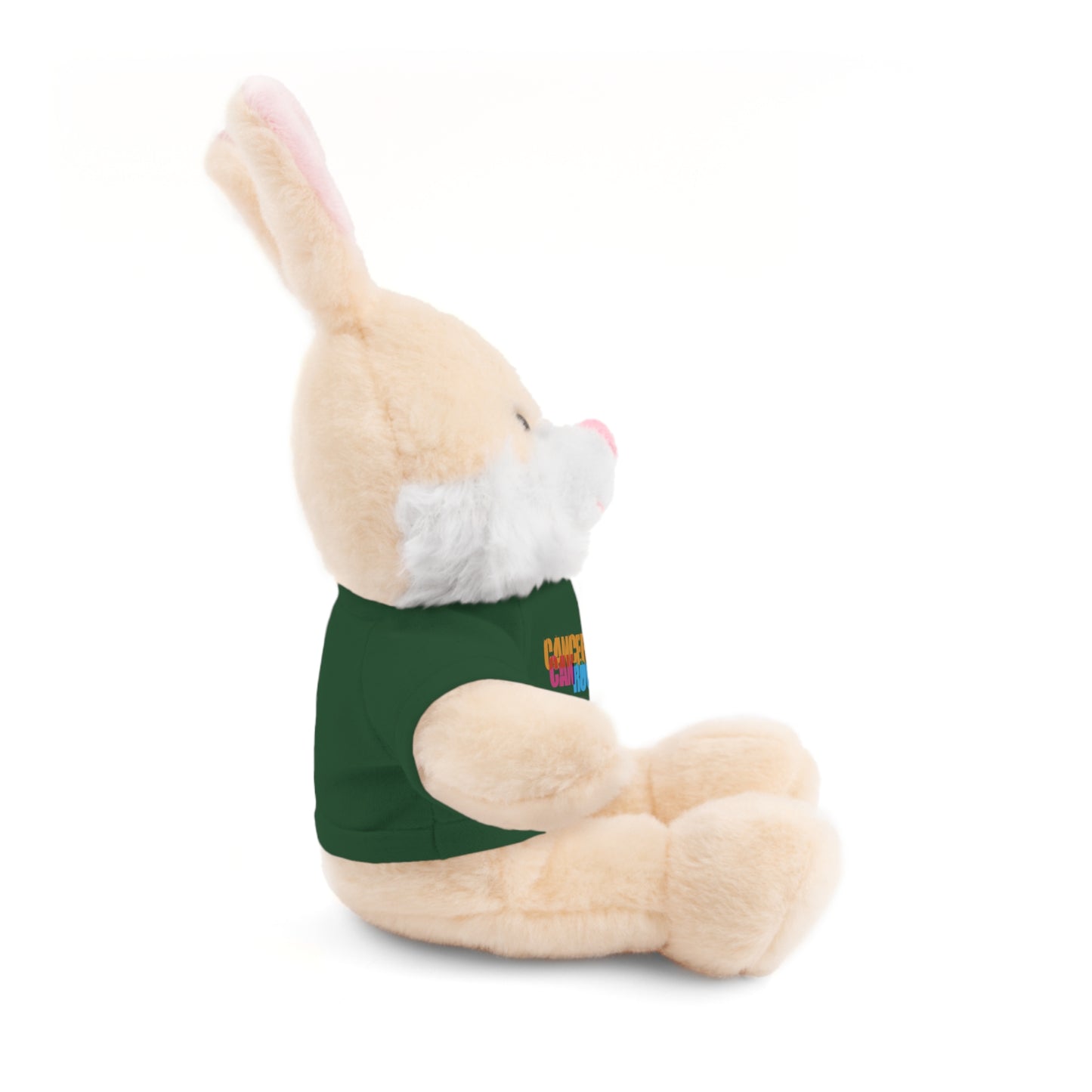 Stuffed Animal with T-Shirt