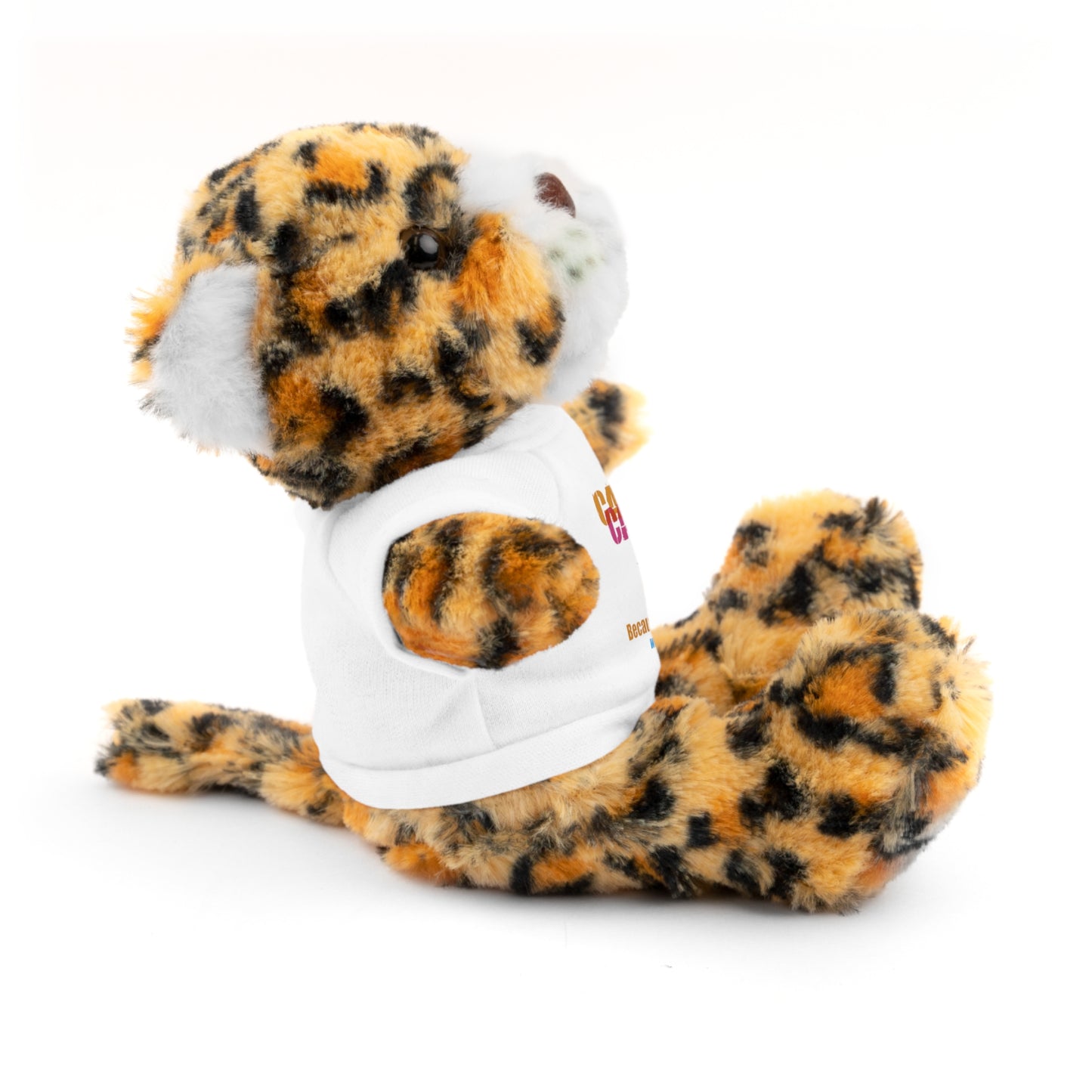 Stuffed Animal with T-Shirt