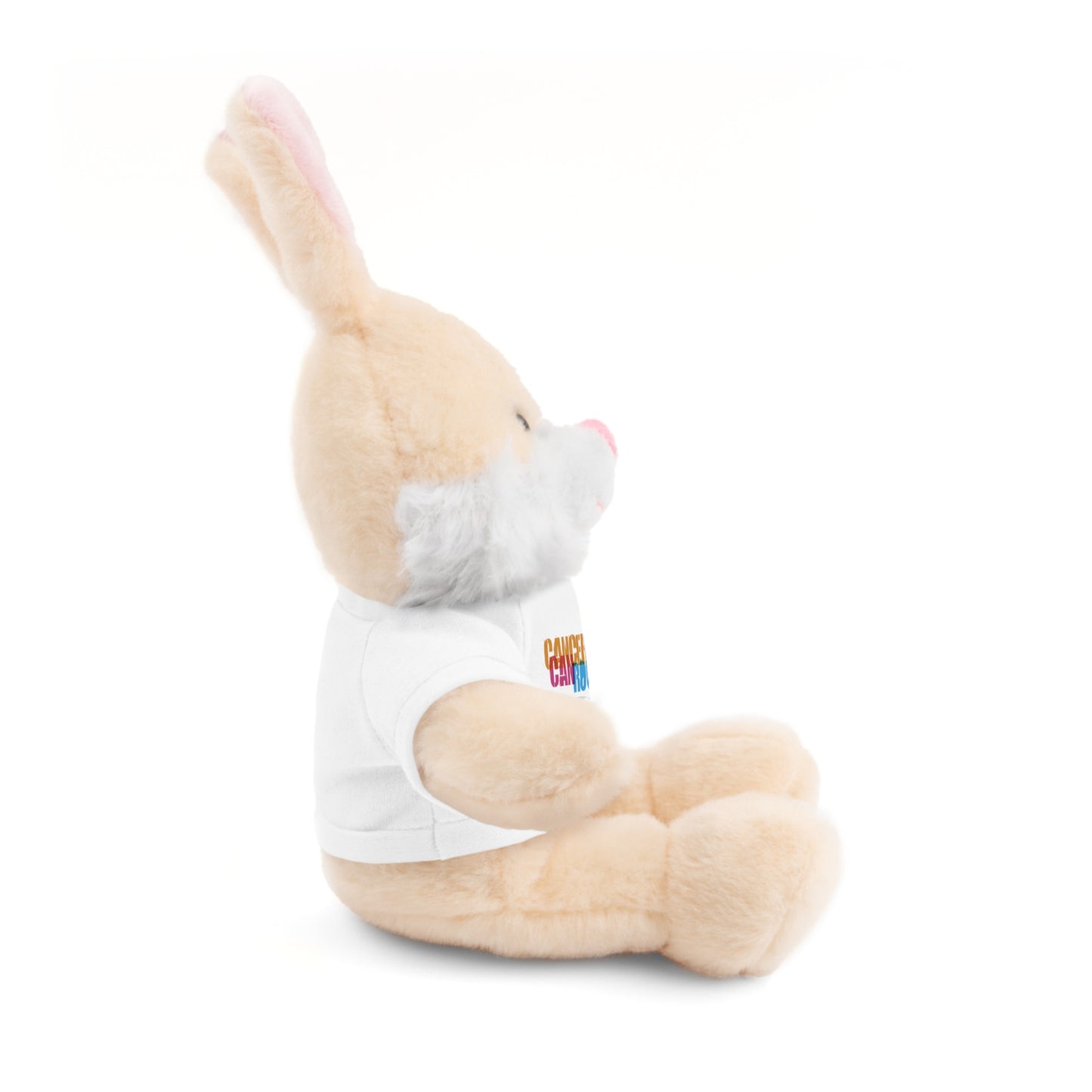 Stuffed Animal with T-Shirt