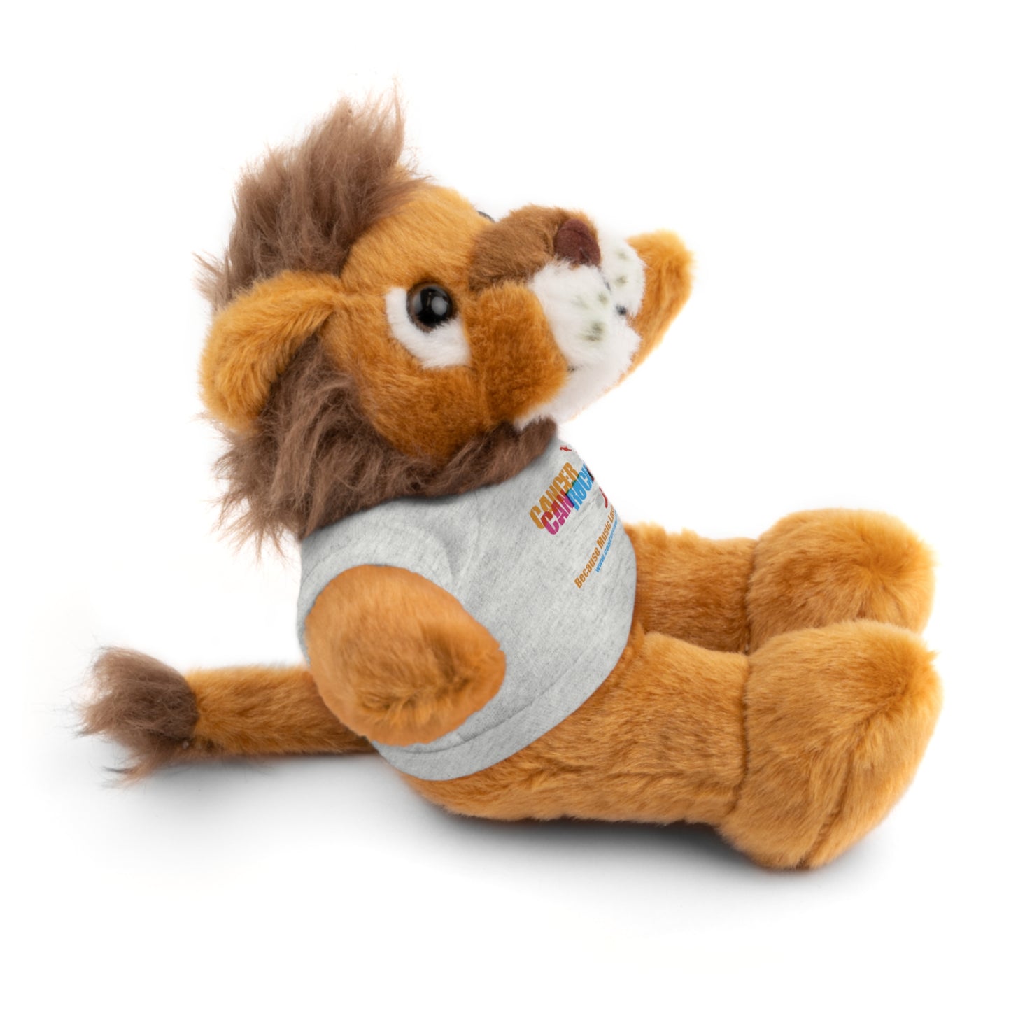 Stuffed Animal with T-Shirt