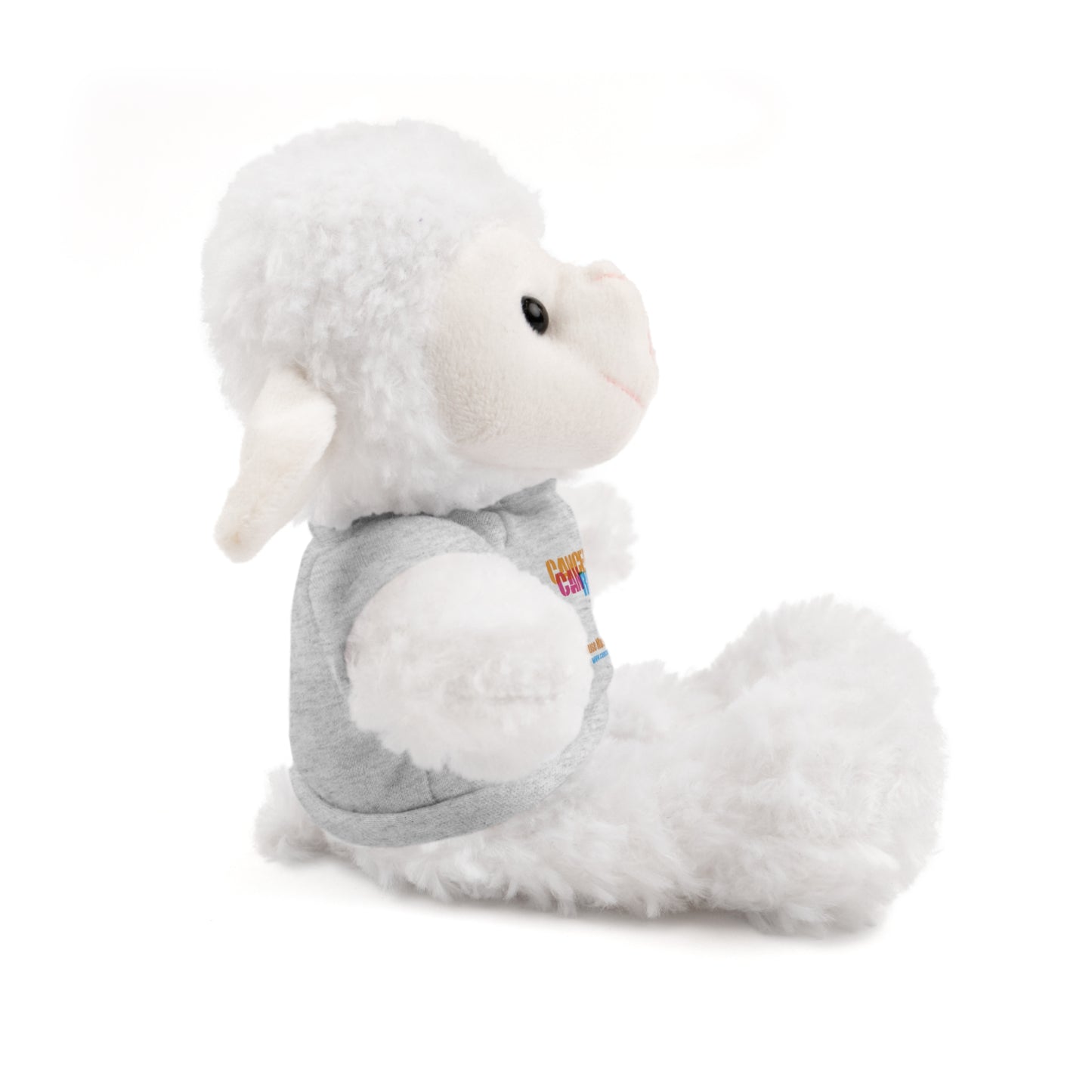 Stuffed Animal with T-Shirt