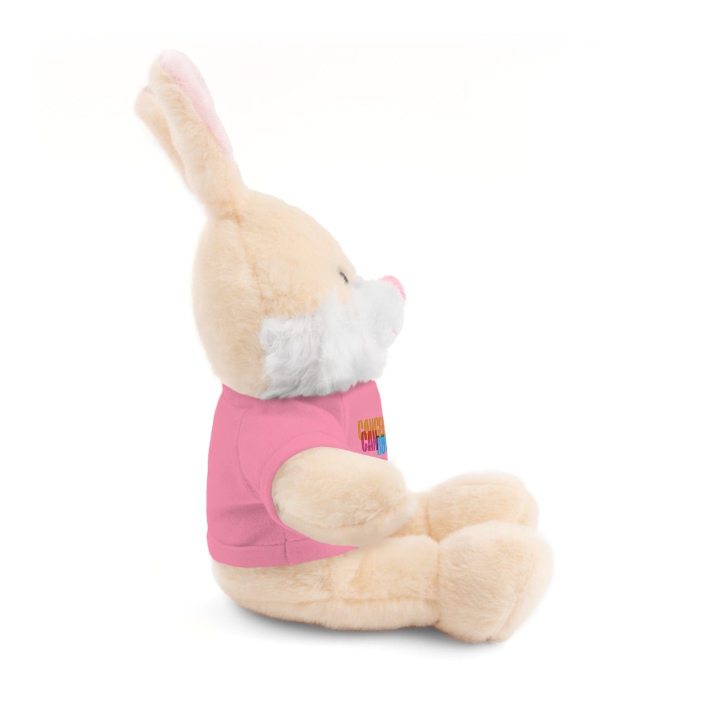 Stuffed Animal with T-Shirt
