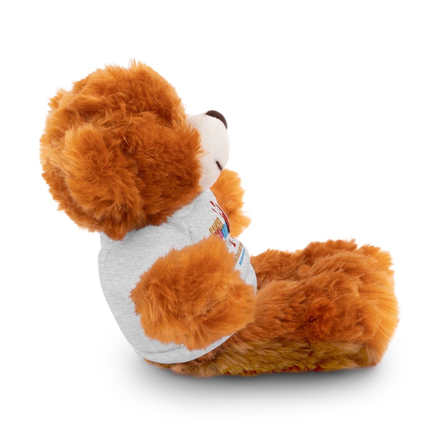 Stuffed Animal with T-Shirt