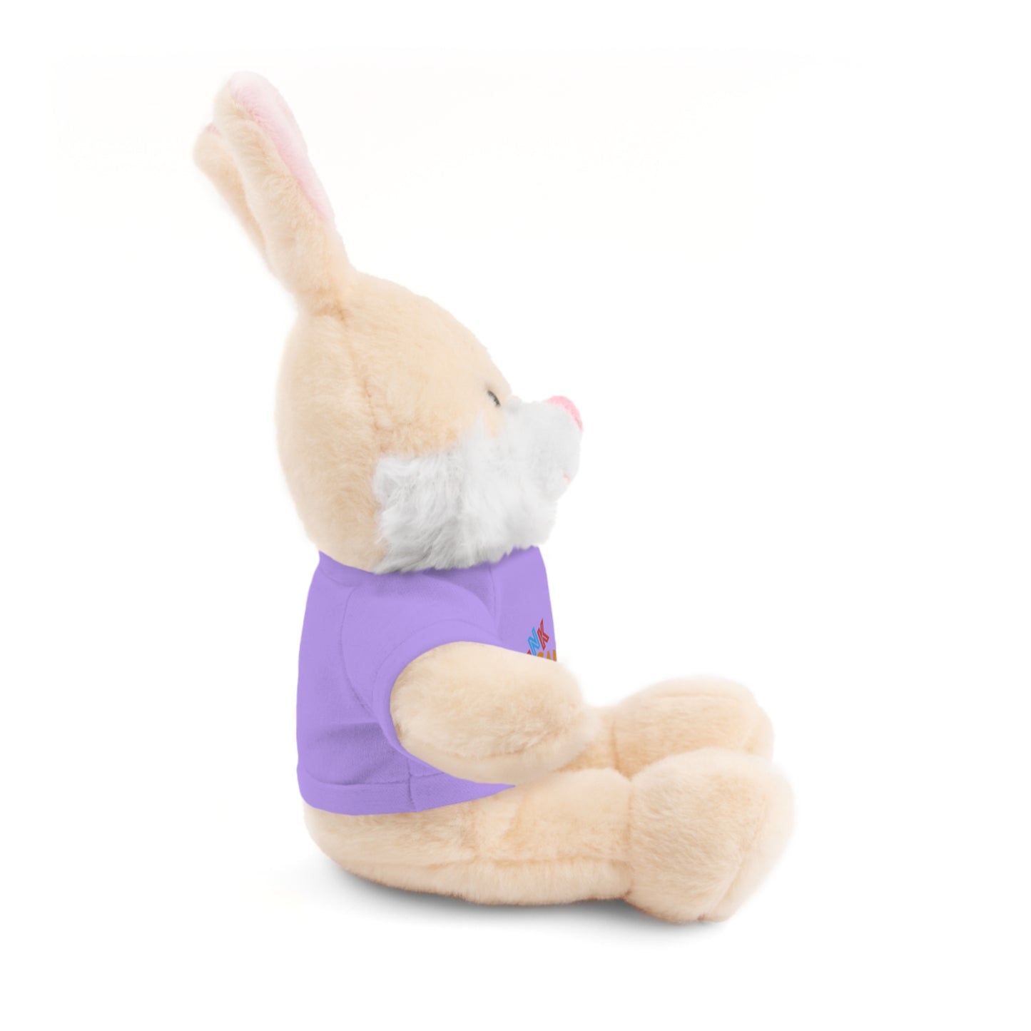 Stuffed Animal with T-Shirt