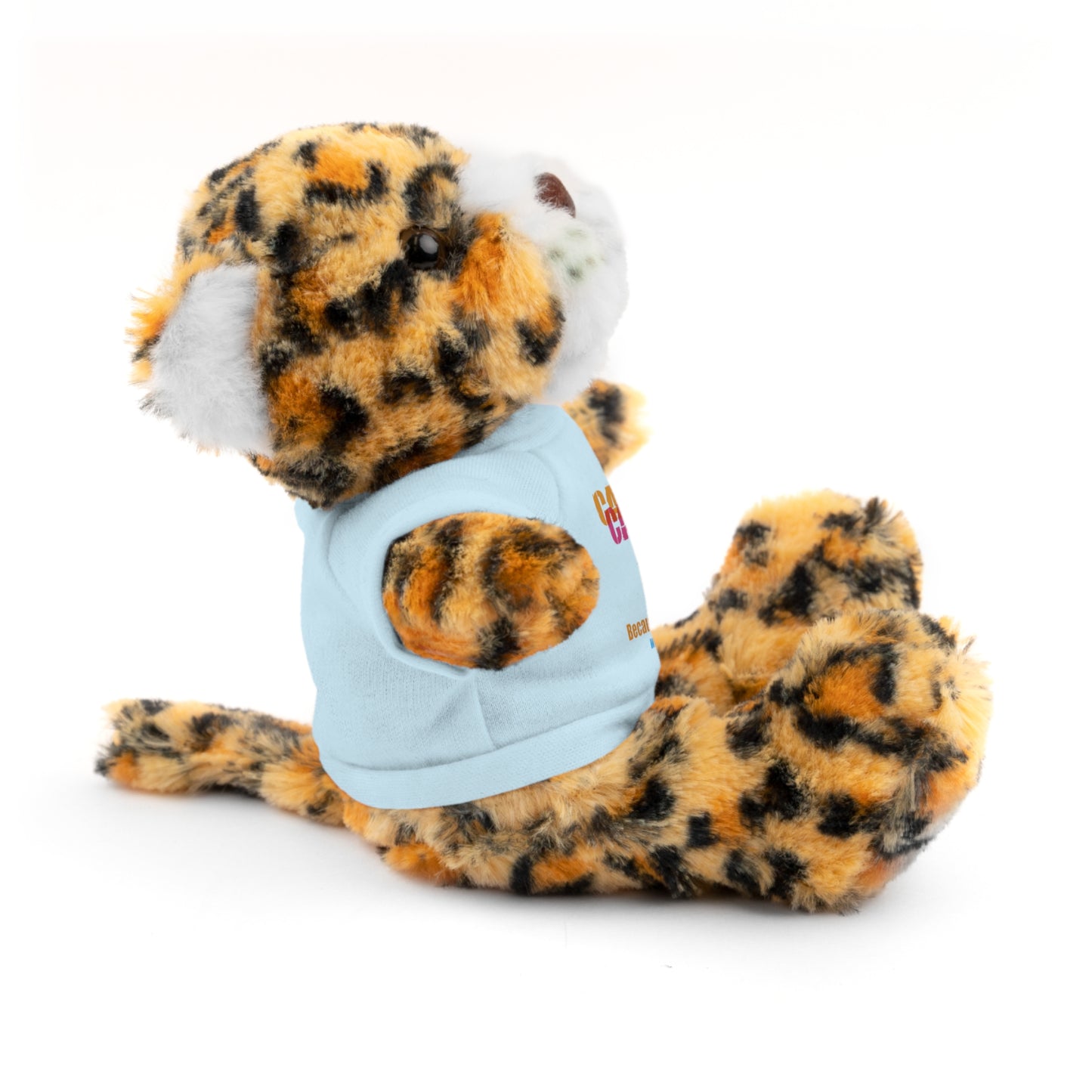 Stuffed Animal with T-Shirt