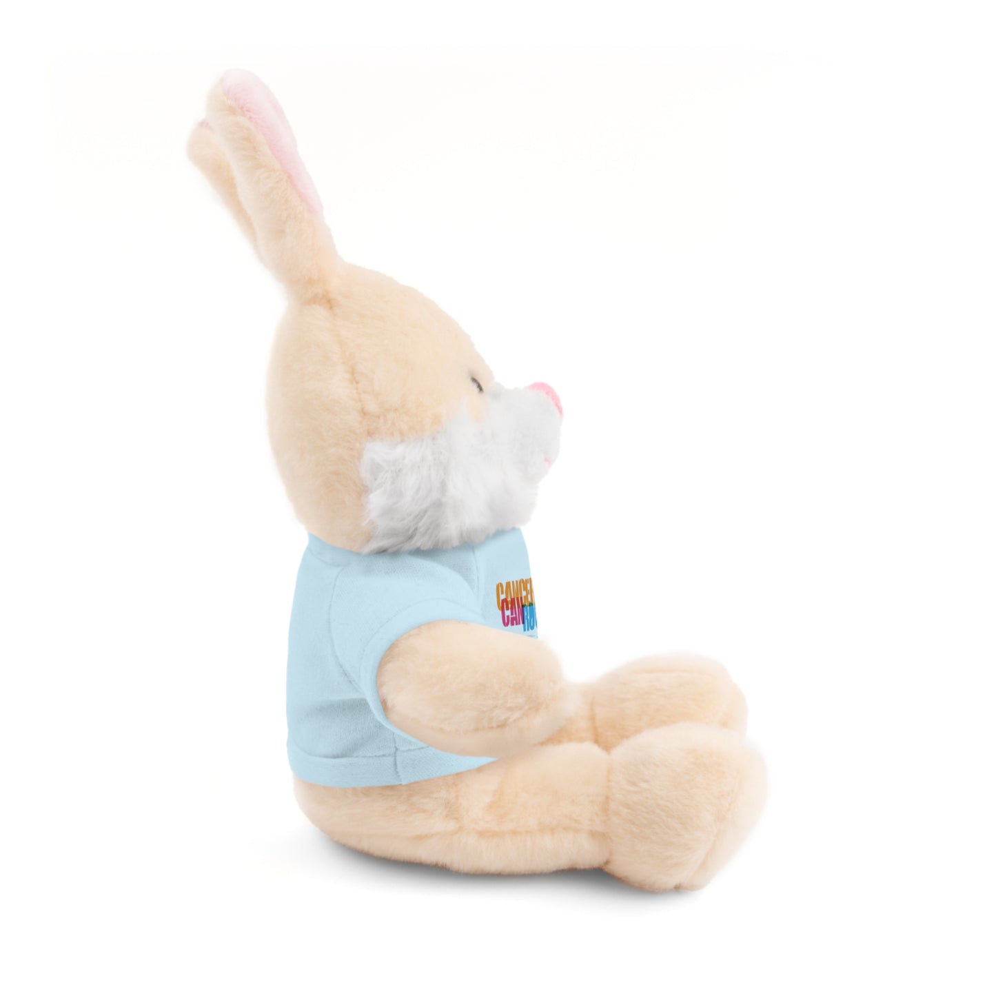 Stuffed Animal with T-Shirt