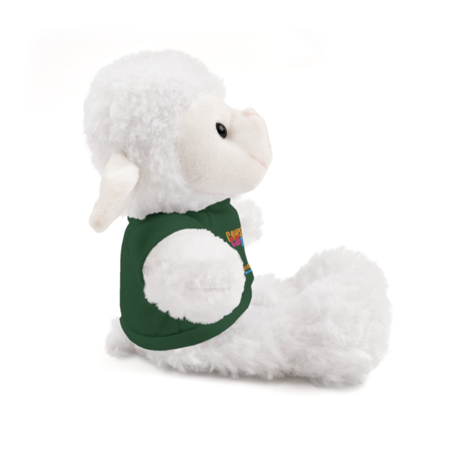 Stuffed Animal with T-Shirt