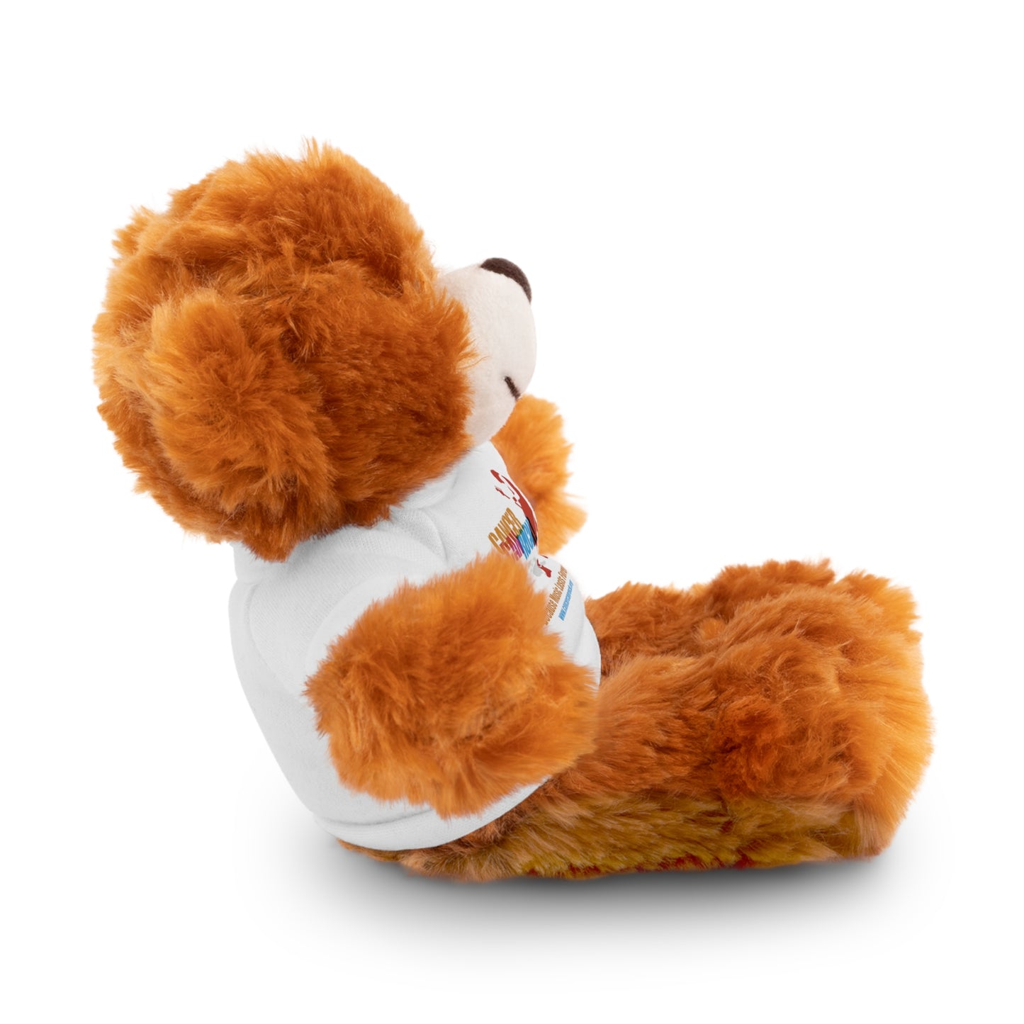Stuffed Animal with T-Shirt