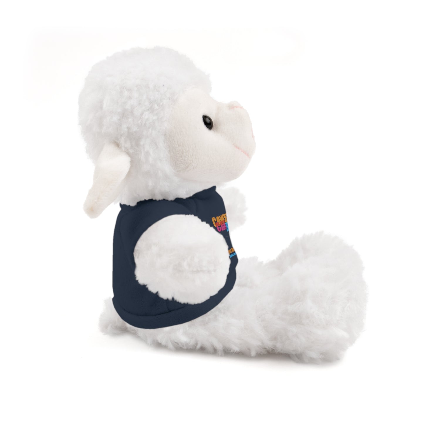 Stuffed Animal with T-Shirt