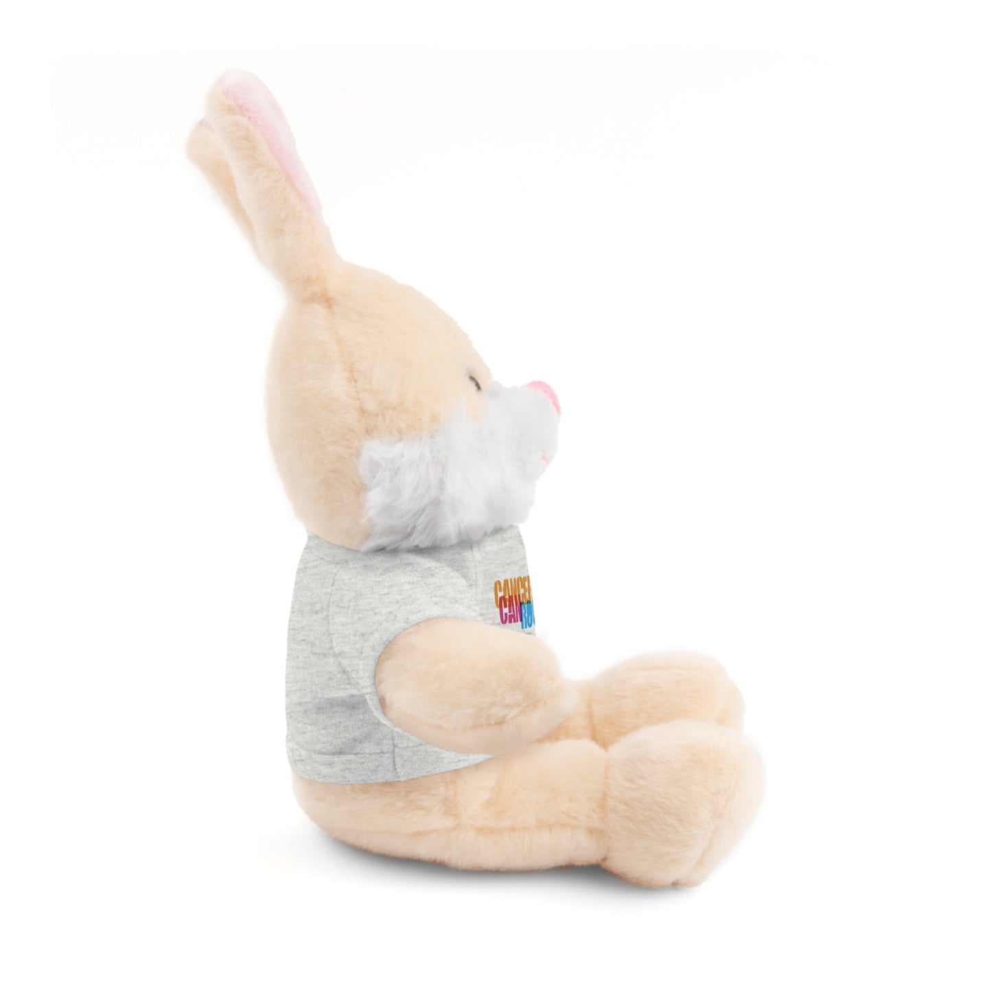 Stuffed Animal with T-Shirt