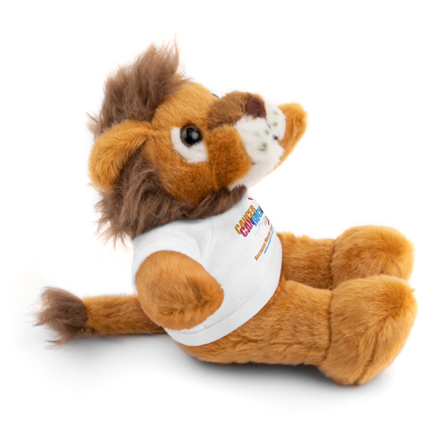 Stuffed Animal with T-Shirt
