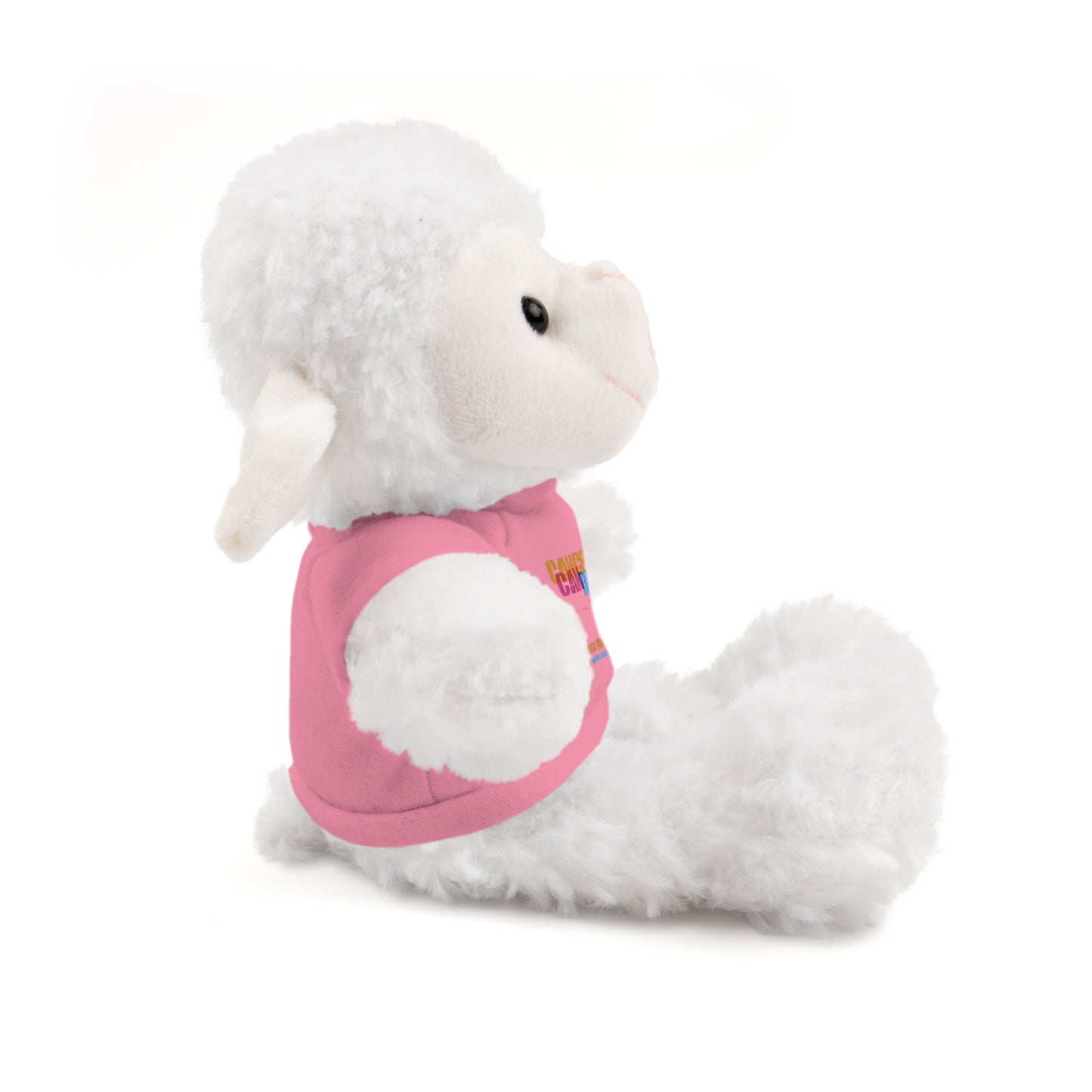 Stuffed Animal with T-Shirt