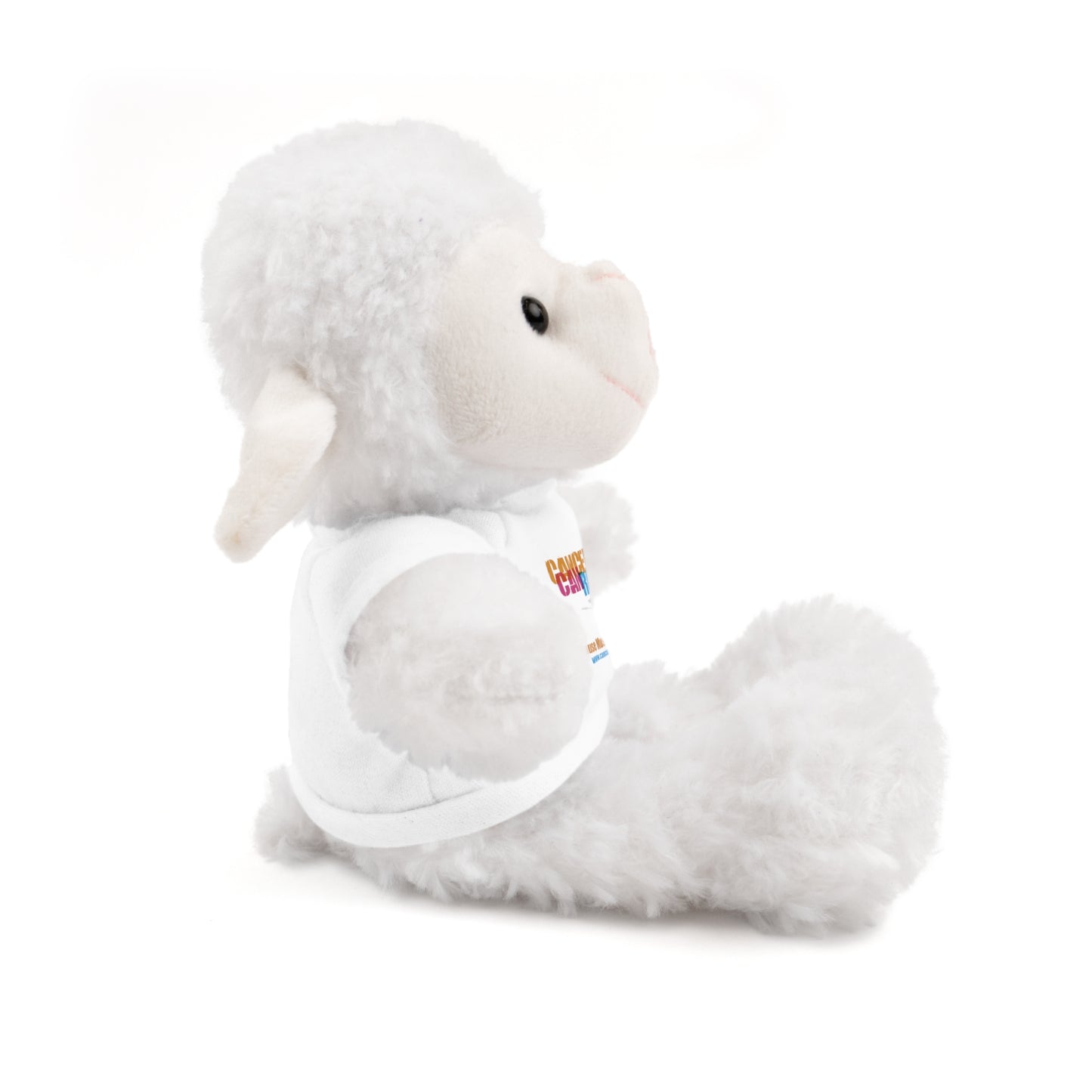 Stuffed Animal with T-Shirt